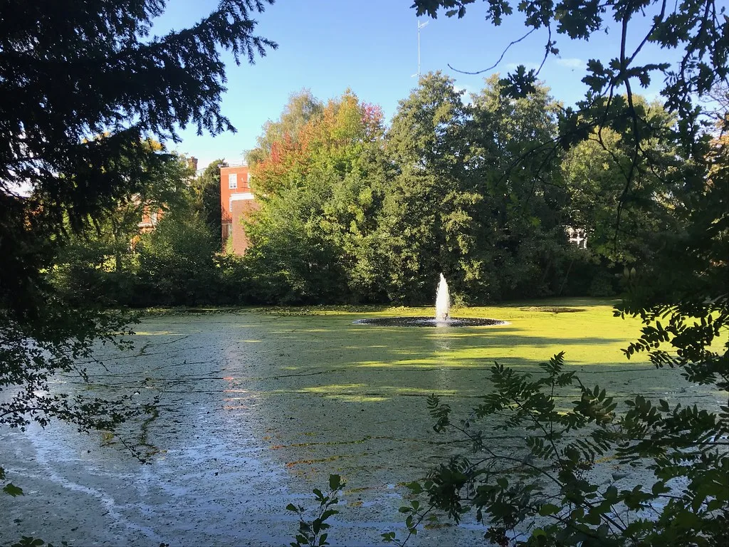 The lake in the grounds of the former Civic Centre on Stockwell Close, Bromley. Council meetings are now held at Churchill Court on Westmoreland Road.